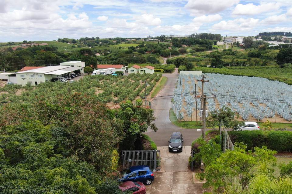 Casamento e drones sucesso