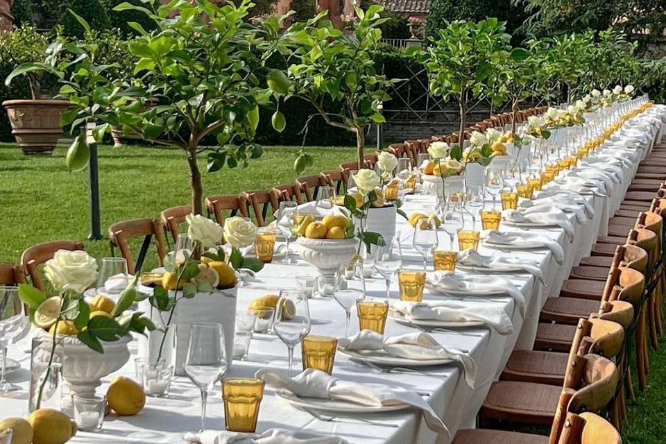 Ar livre tendência com frutas