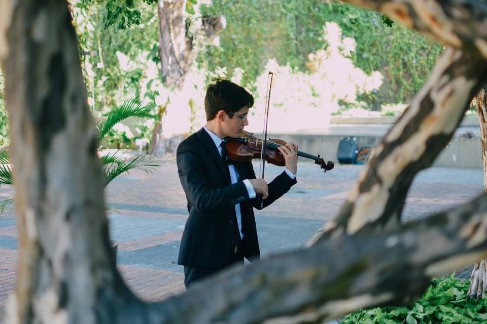 Marcos Leite Violinista