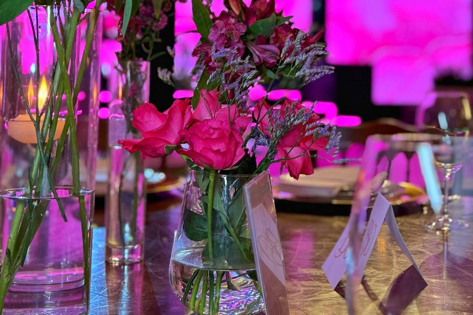 Cássia Guimarães Decor