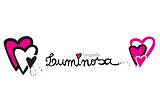 Luminosa Fotografia logo