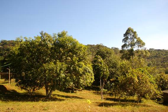 Áreas verdes