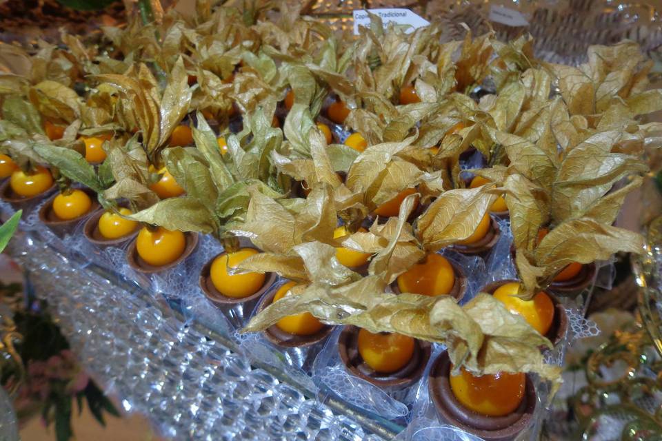 Copinho Physalis