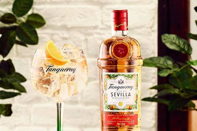 Gin tanqueray sevilha