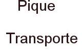 Logo Pique Transportes