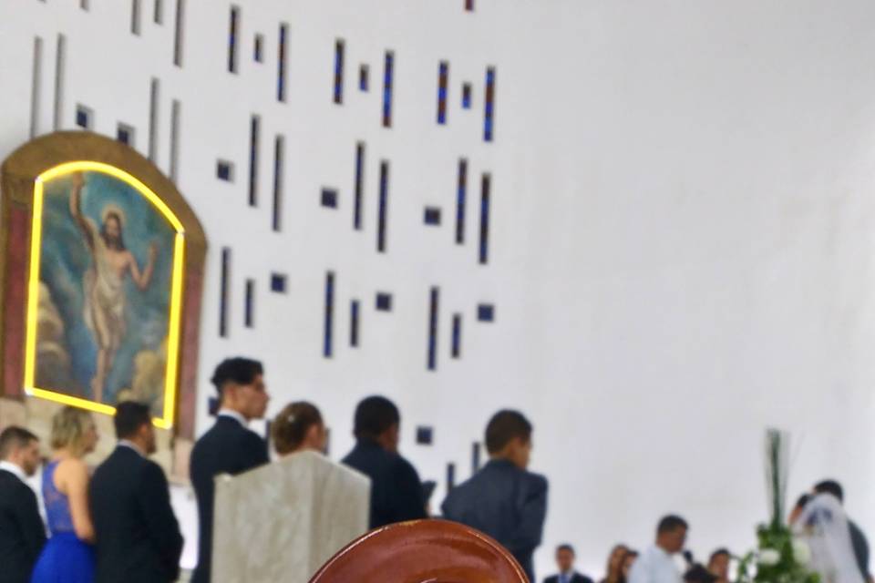 Foco na Voluta do Violino