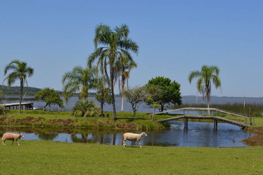 Fazenda Pontal