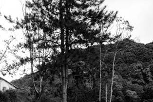 Ambiente da cerimônia