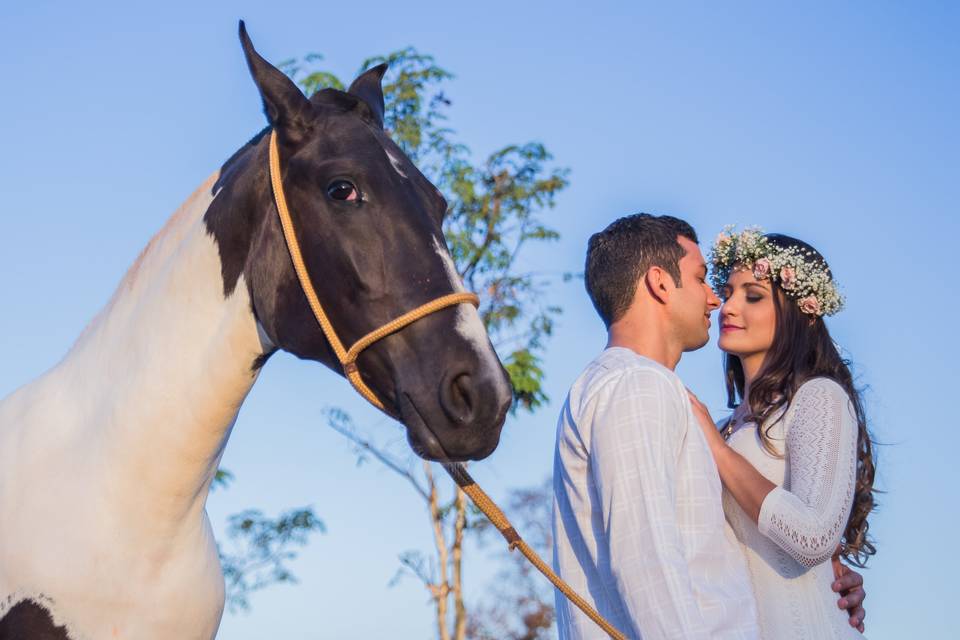 Paixões por cavalo