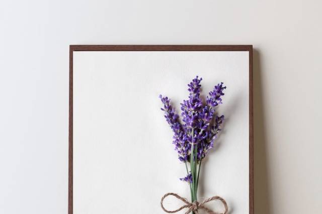 Lavanda