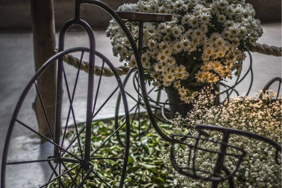 Cenário, as bicicletas