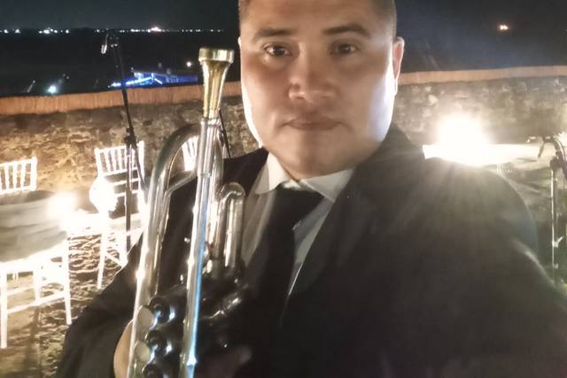 Músico profissional