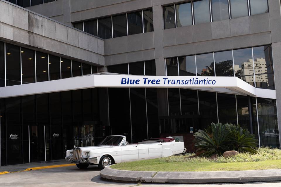 Blue Tree Transatlântico