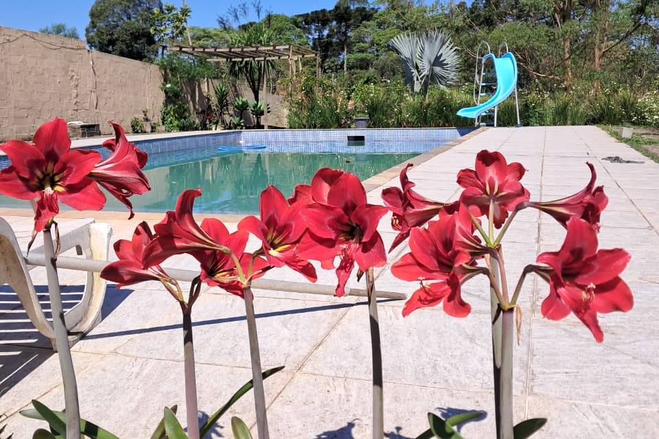 Espaço mav em cotia