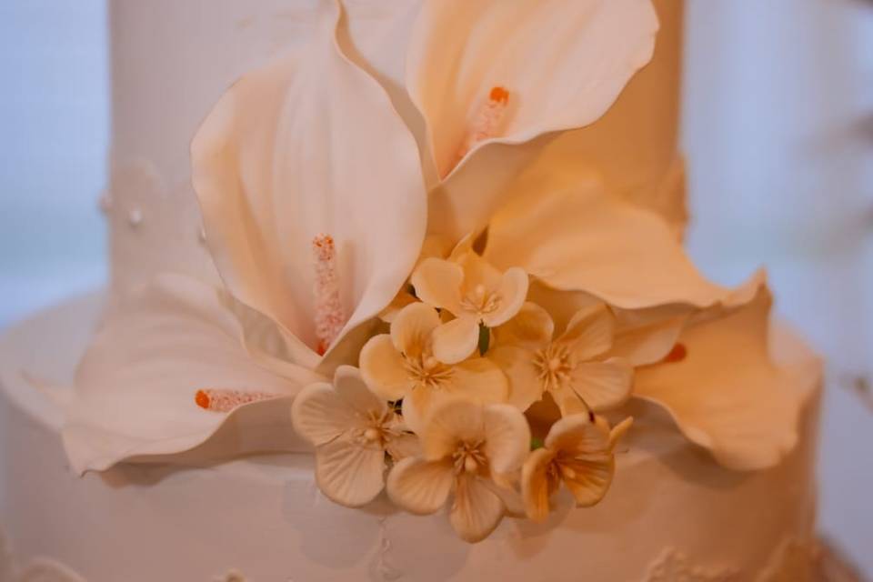 Decoração Rafael Caramelle