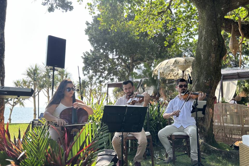 Musicos Casamento Ilhabela