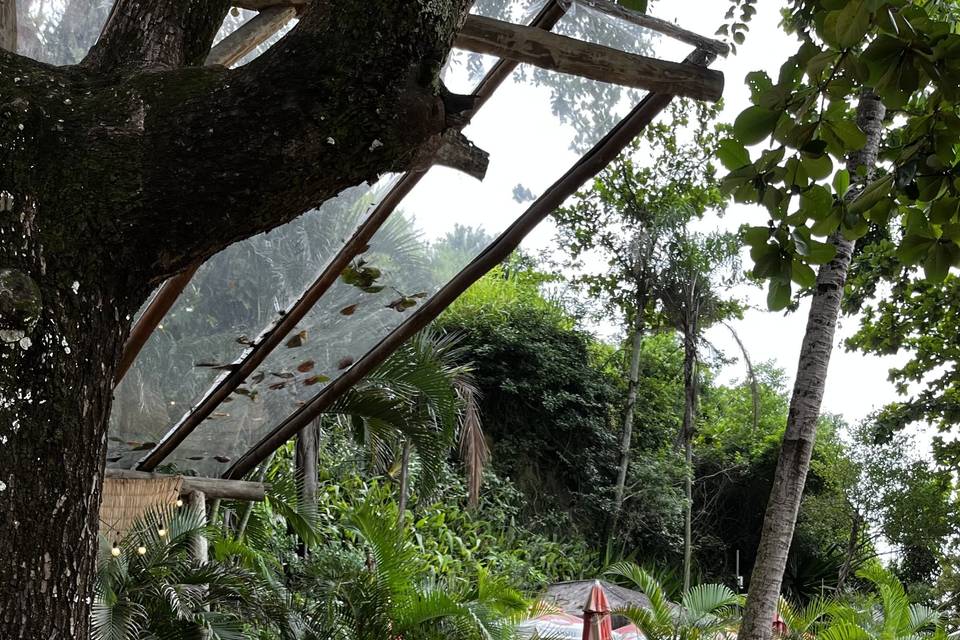 Musicos Casamento Ilhabela