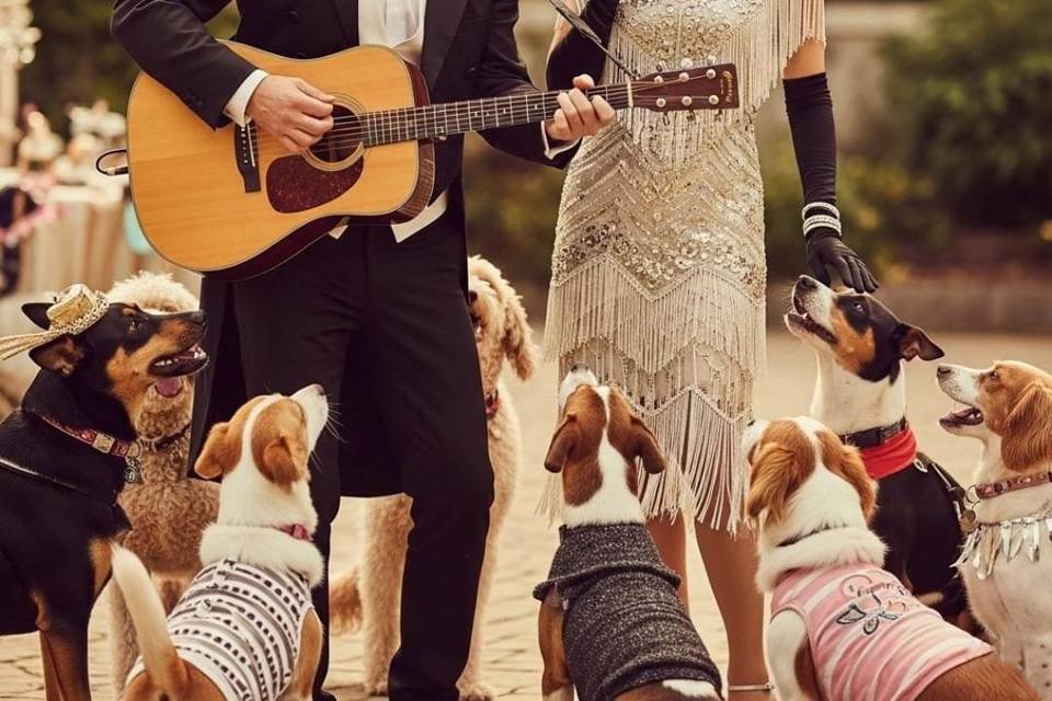 Festa boa pra cachorro