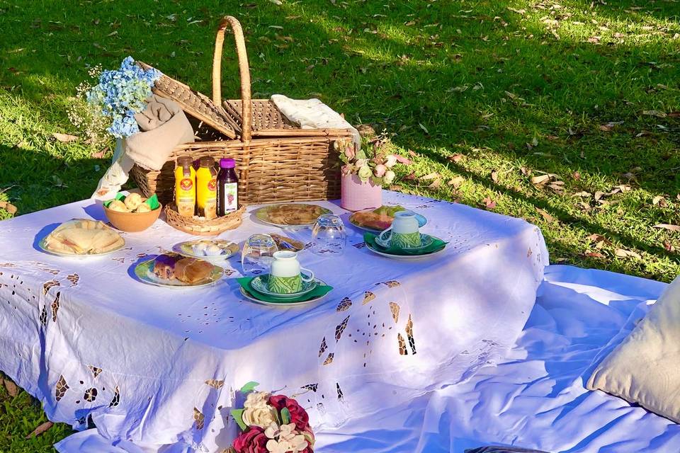 Um lindo pic nic