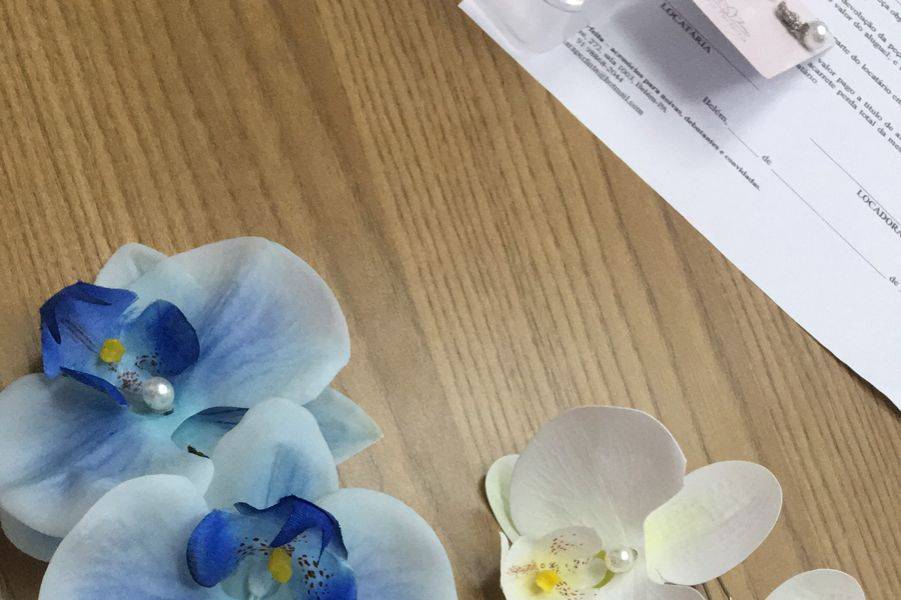 Orquídeas para ensaios