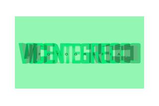 Vicente Grecco Fotografia logo