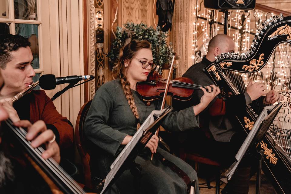 Violino e Harpa