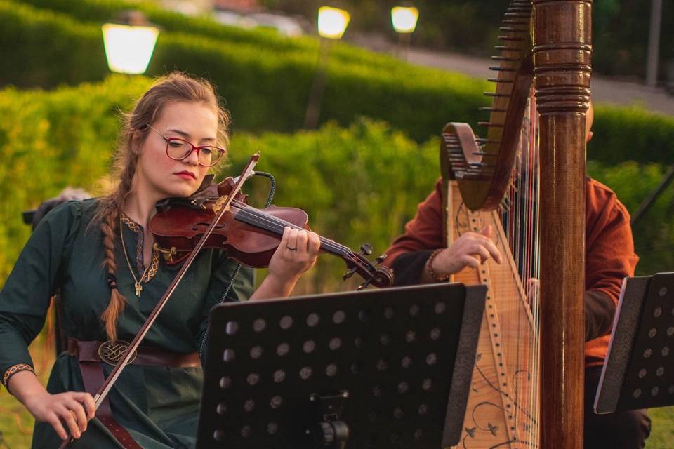 Violino e Harpa