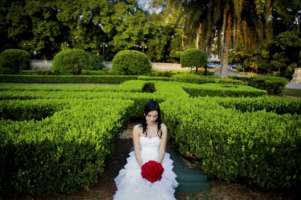 Trash The Dress