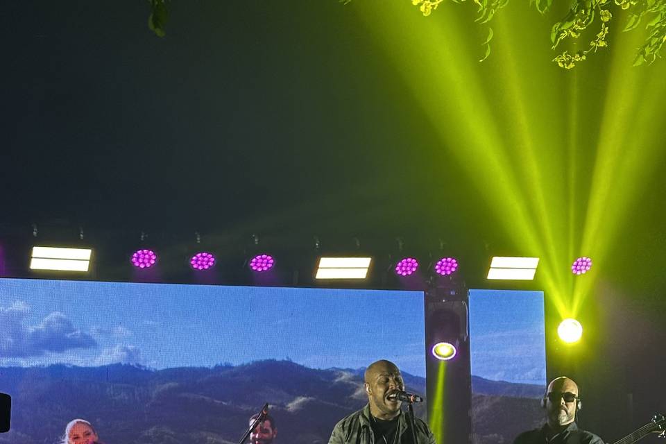 Shows