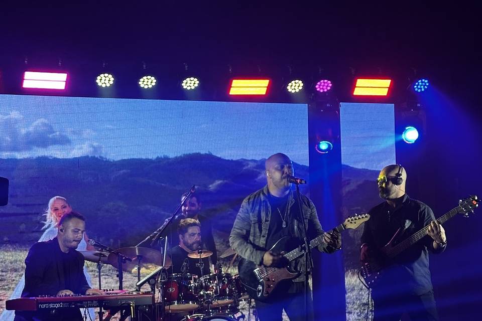 Shows