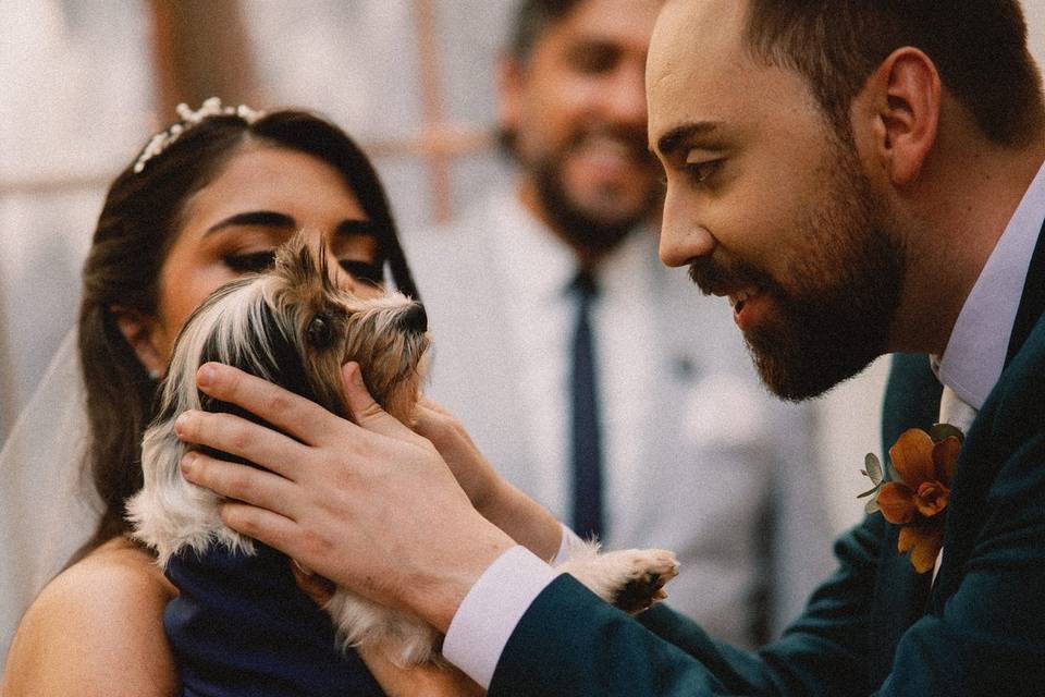 Pets conquistador