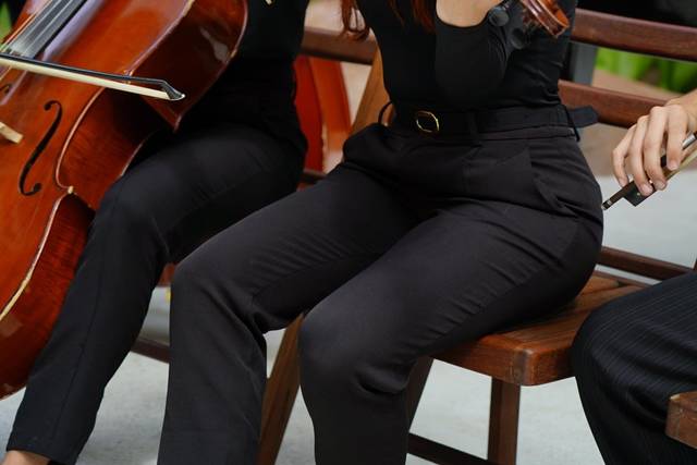 Viola + Chello