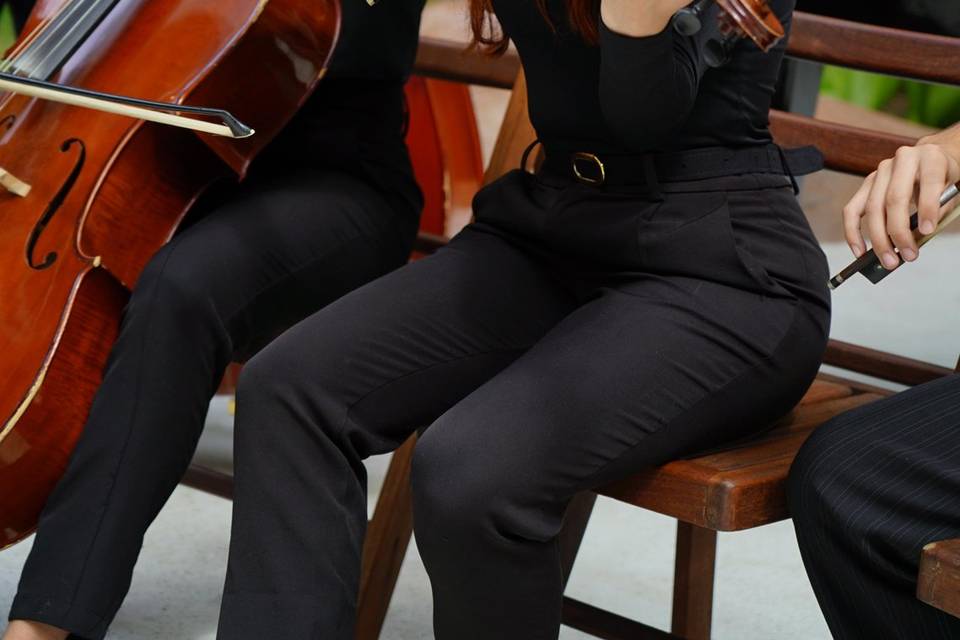Viola + Chello