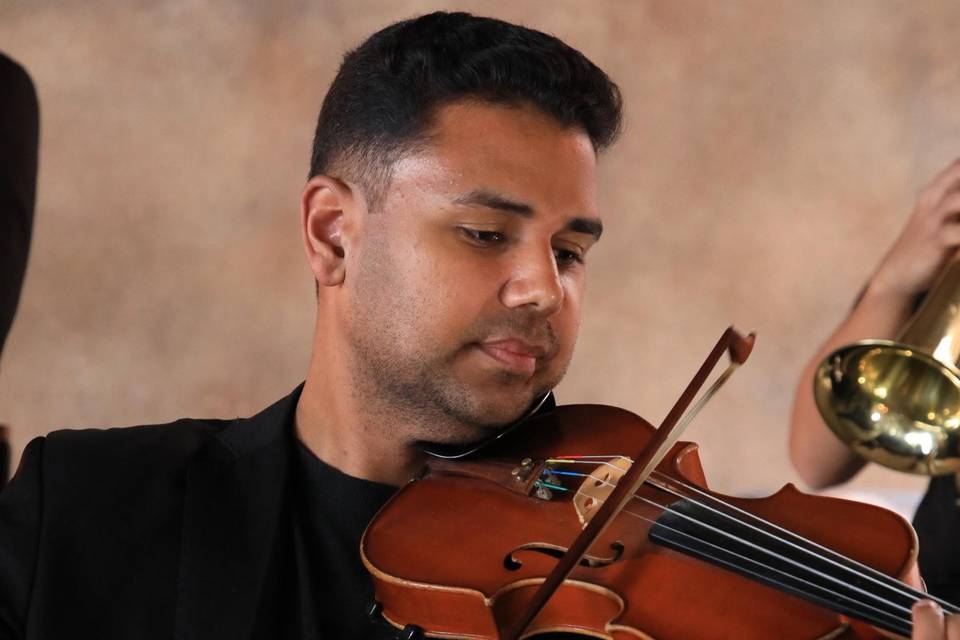 Violino