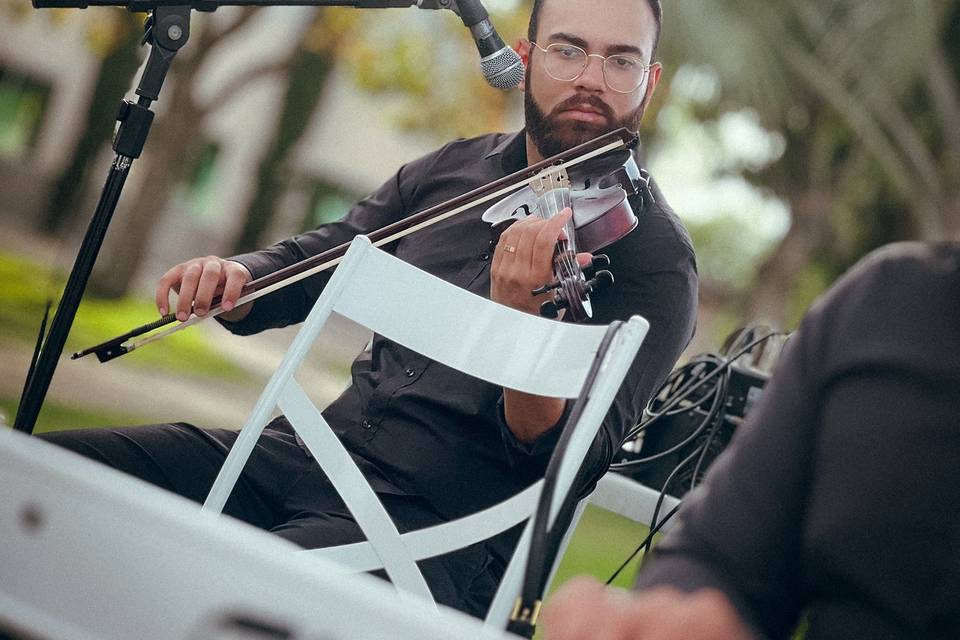 Violino