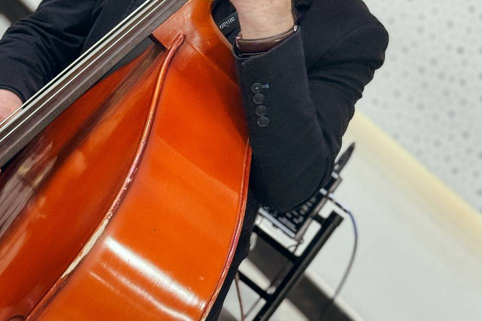 Baixo Acústico
