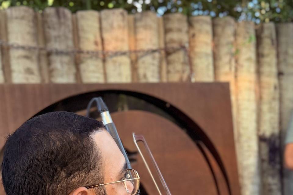 Violino