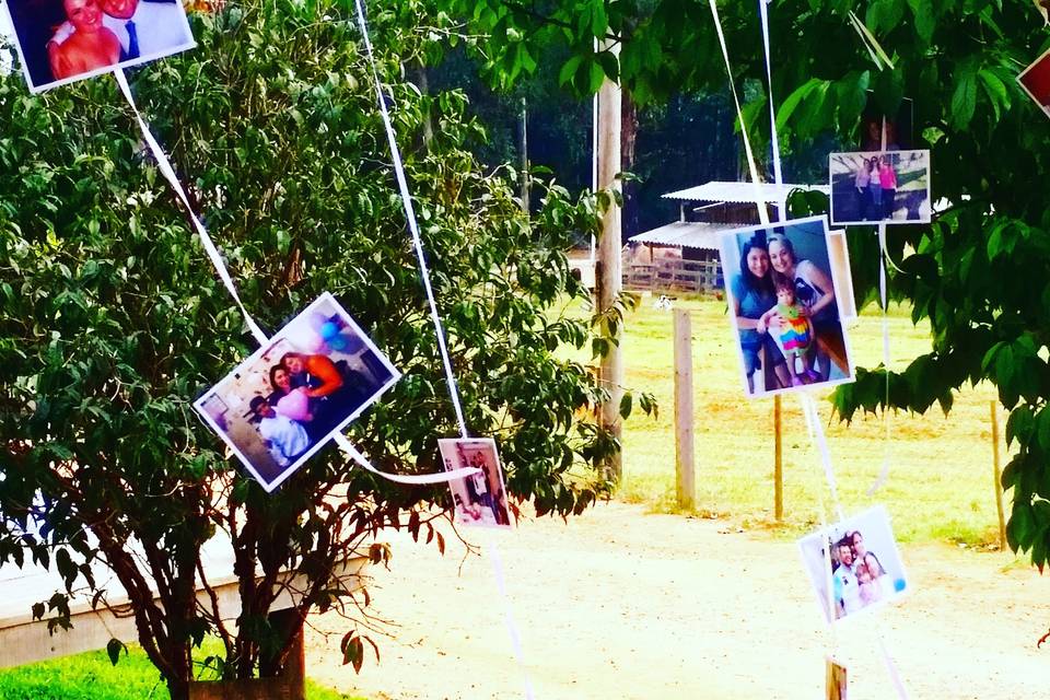 Casamento no Campo