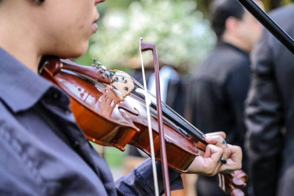 Violino Cerimônia