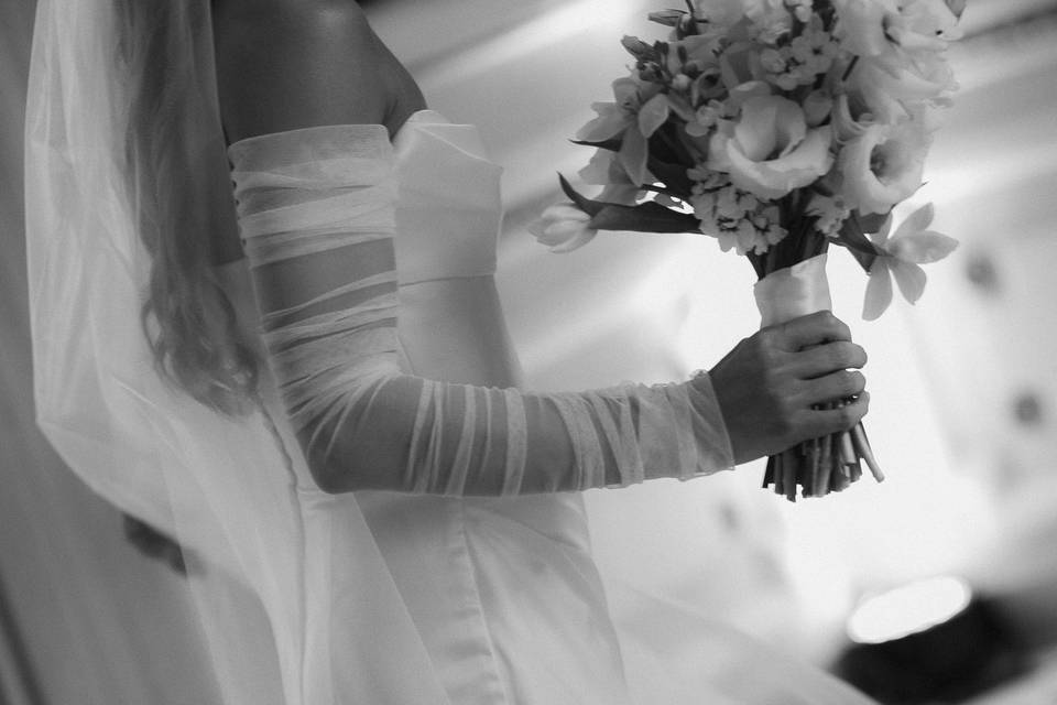 Seiva Fotografia