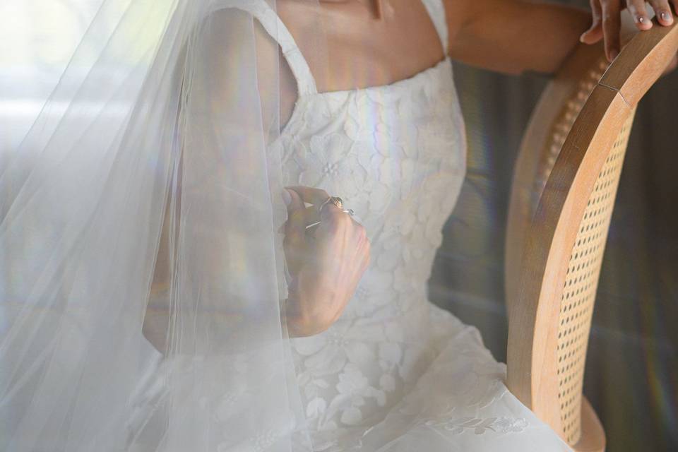 Seiva Fotografia
