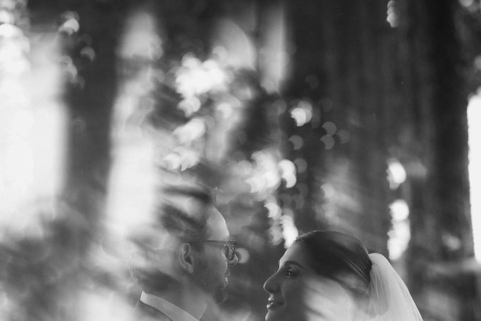 Seiva Fotografia