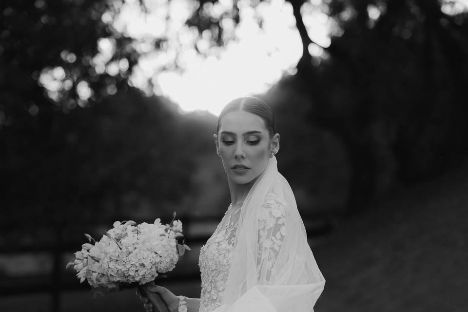 Seiva Fotografia