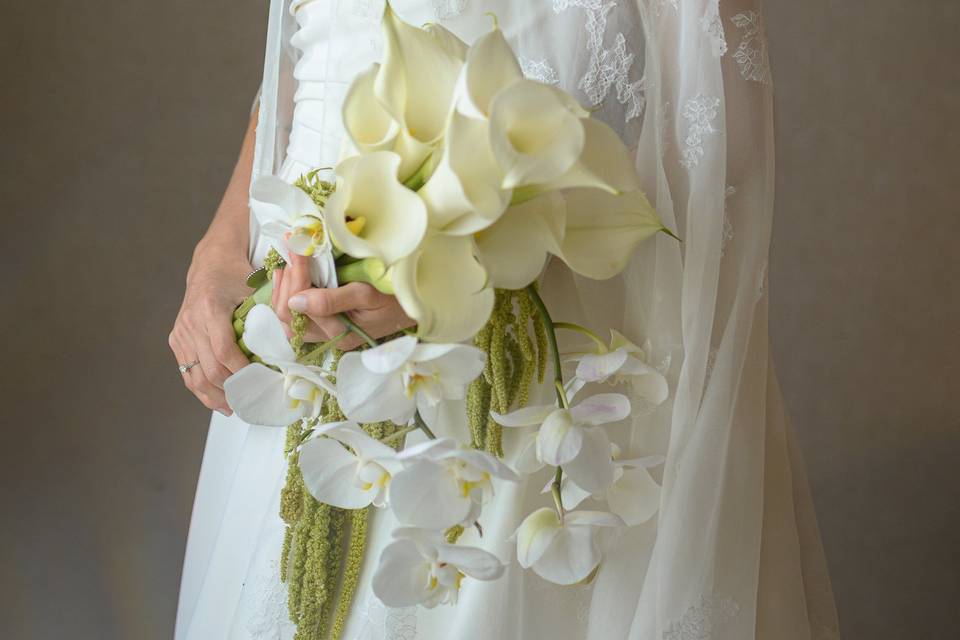 Seiva Fotografia