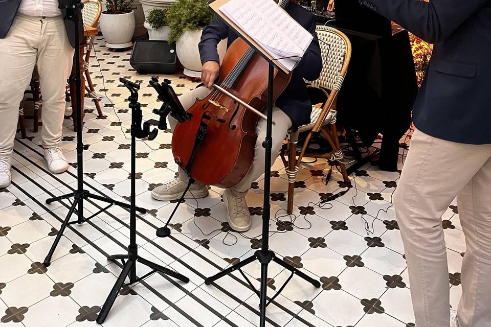 Trio Elegance | Coquetel
