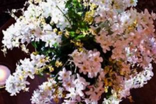 Atenção aos detalhes