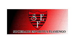 Sociedade Esportiva Flamengo logo
