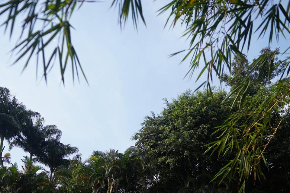Cerimônia ao ar livre