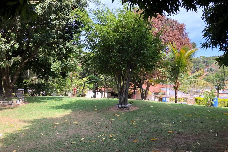 Area verde