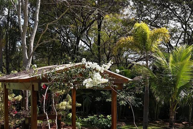 Jardins exuberantes
